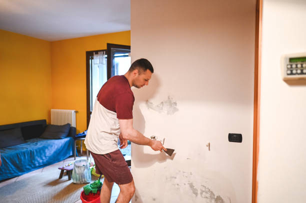 Mold Testing and Removal in Blountville, TN